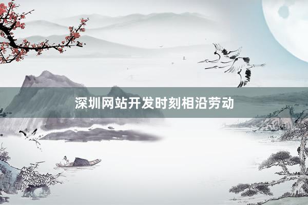 深圳网站开发时刻相沿劳动