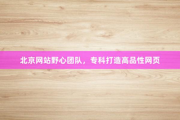 北京网站野心团队，专科打造高品性网页