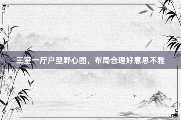 三室一厅户型野心图，布局合理好意思不雅
