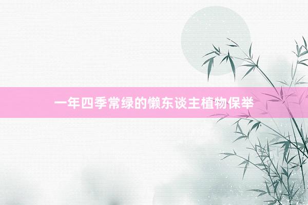 一年四季常绿的懒东谈主植物保举